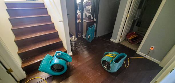 Best Flooded house restoration  in Haven, KS