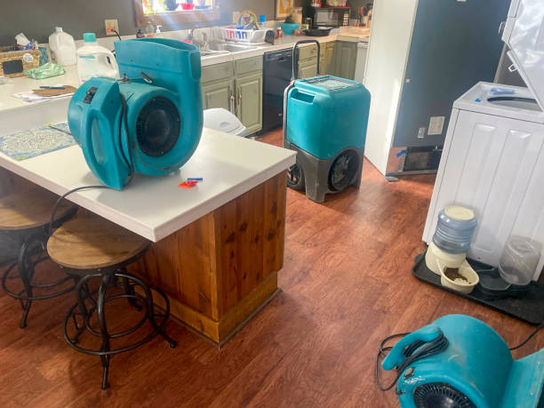 Best Local water damage restoration  in Haven, KS