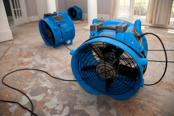 Best Fire Damage Restoration  in Haven, KS
