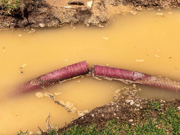 Professional Water damage restoration in Haven, KS