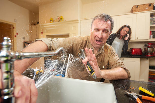 Best Flood damage cleanup  in Haven, KS